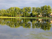 Mediation in Frankfurt